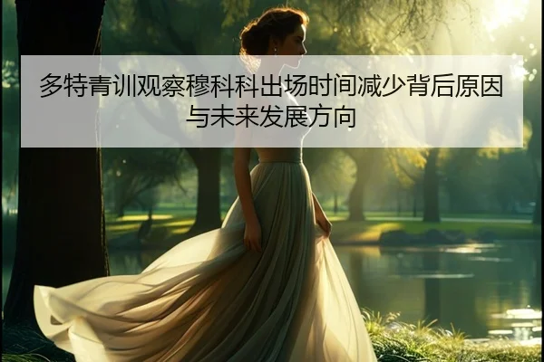 多特青训观察穆科科出场时间减少背后原因与未来发展方向